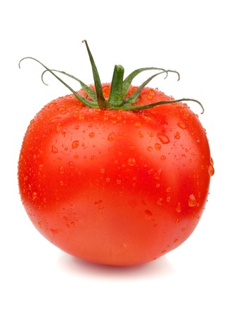 Fresh red tomato with water drops. Isolated on white backgroundの写真素材