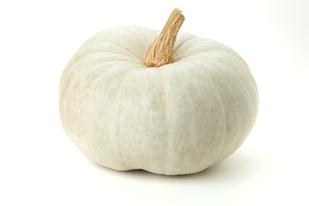 White pumpkin. Isolated on white backgroundの写真素材
