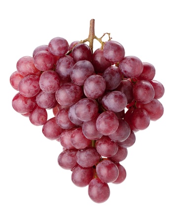 Fresh red grapes branch. Isolated on white backgroundの写真素材