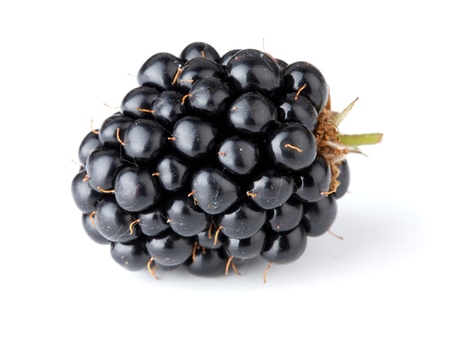 Ripe blackberry. Isolated on a white background