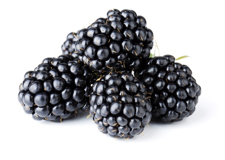 Ripe blackberry fruits. Isolated on white backgroundの写真素材