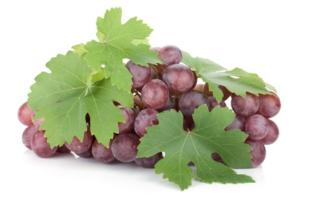 Red grapes with leaves. Isolated on white backgroundの写真素材