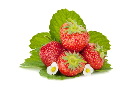 Strawberry fruits with flowers and green leaves. Isolated on white backgroundの写真素材