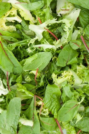 Healthy green salad closeupの写真素材