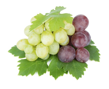 White and red grapes. Isolated on white backgroundの写真素材