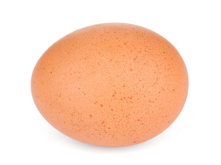 Egg. Isolated on white backgroundの写真素材
