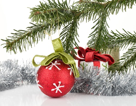 Christmas decor with fir tree. Isolated on white backgroundの写真素材