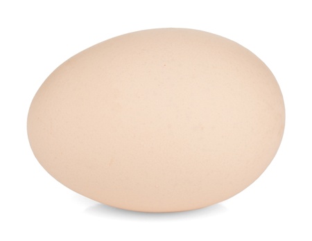 Egg. Isolated on white backgroundの写真素材