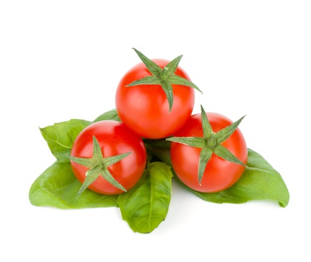 Cherry tomatoes and basil leafs. Isolated on white backgroundの写真素材