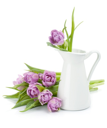 Pink tulip. Isolated on white backgroundの写真素材