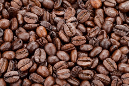 Closeup of coffee beansの写真素材