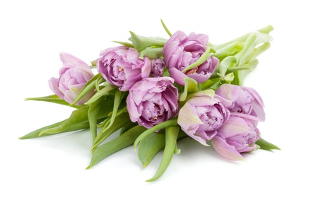 Pink tulips bouquet. Isolated on white backgroundの写真素材