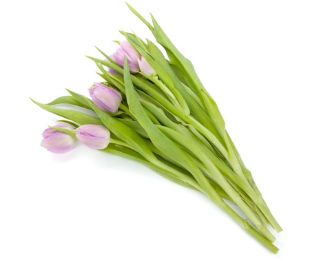 Pink tulips bouquet. View from above. Isolated on white backgroundの写真素材