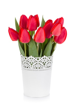 Red tulips in flowerpot. Isolated on white backgroundの写真素材