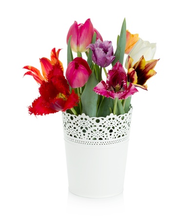 Multi colored tulips in flowerpot. Isolated on white backgroundの写真素材