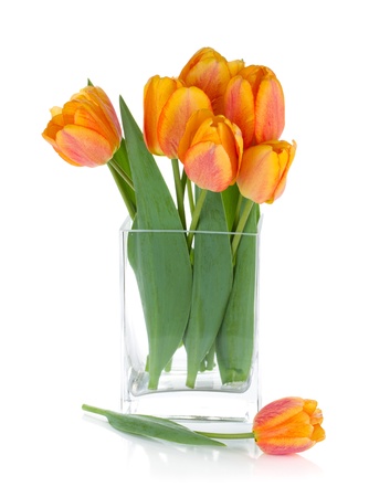 Orange tulips in flower bowl. Isolated on white backgroundの写真素材