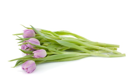 Lying pink tulips bouquet. Isolated on white backgroundの写真素材