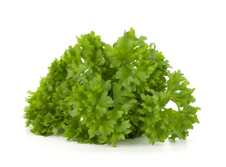 Bunch of fresh green curly parsley. Isolated on white backgroundの写真素材