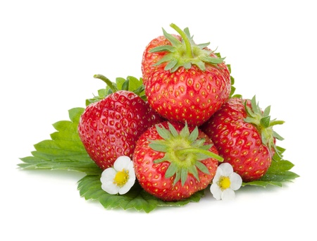 Four strawberry fruits with green leaves and flowers. Isolated on white backgroundの写真素材