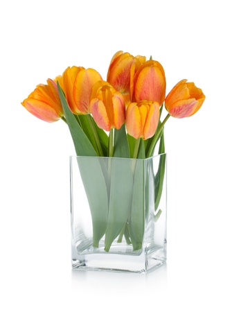 Orange tulips in flower bowl. Isolated on white backgroundの写真素材