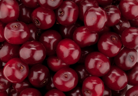 Fresh ripe cherries. Hires patternの写真素材
