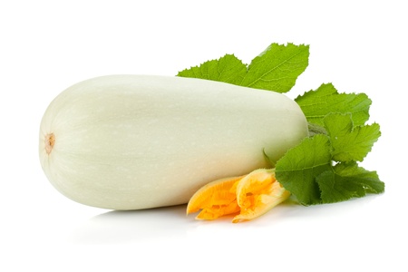 Fresh zucchini fruit with green leaves and flower  Isolated on white backgroundの写真素材