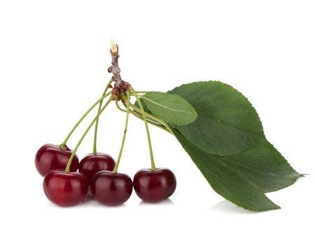 Ripe cherries with leafs  Isolated on white backgroundの写真素材