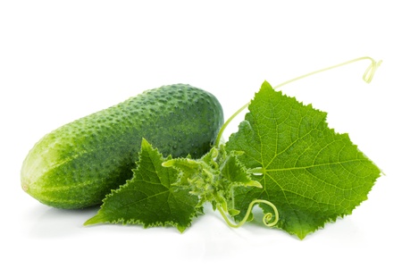 Ripe cucumber fruit with leaves  Isolated on white backgroundの写真素材