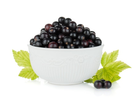 Black currant bowl  Isolated on white backgroundの写真素材