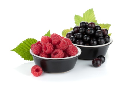 Black currant and raspberry   Isolated on white backgroundの写真素材