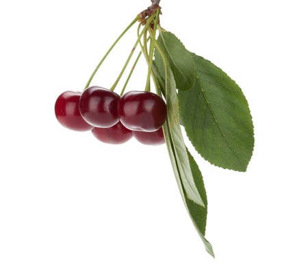 Ripe cherries with leafs. Isolated on white backgroundの写真素材
