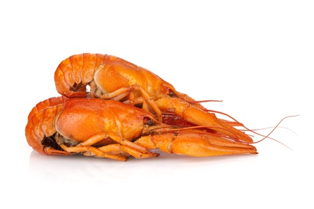 Three boiled crayfishes  Isolated on a white backgroundの写真素材