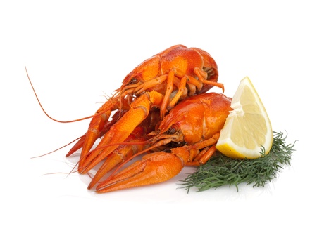 Boiled crayfishes with lemon slice and dill. Isolated on a white backgroundの写真素材