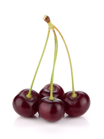 Four ripe cherries. Isolated on white backgroundの写真素材