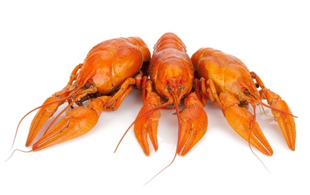 Three boiled crayfishes. Isolated on a white backgroundの写真素材