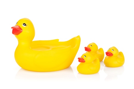Rubber duck family. Isolated on white backgroundの写真素材