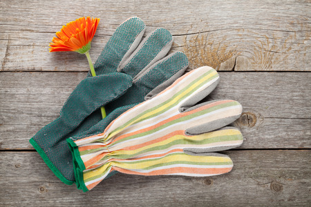 Gardening gloves and gerbera flower on wooden table backgroundの写真素材