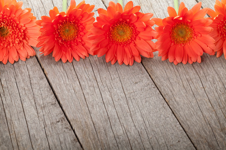 Wooden background with orange gerbera flowers and copy spaceの写真素材