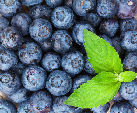 Blueberries heap with mint leaf on wooden table backgroundの写真素材