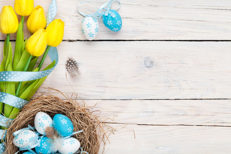 Easter background with blue and white eggs in nest and yellow tulips. Top view with copy space