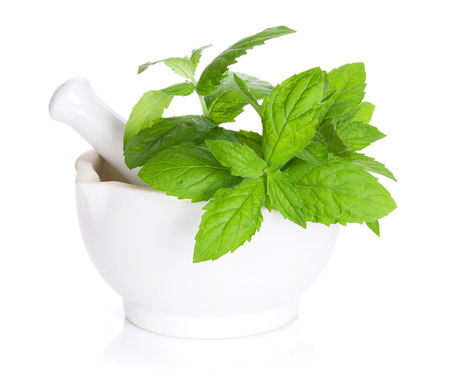 Fresh mint in mortar. Isolated on white backgroundの写真素材