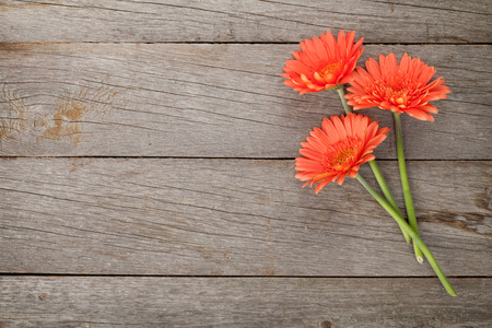 Wooden background with orange gerbera flowers and copy spaceの写真素材