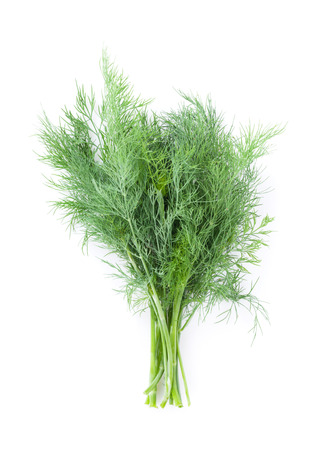 Fresh garden herbs. Dill. Isolated on white backgroundの写真素材