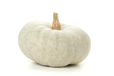 Small white pumpkin. Isolated on white backgroundの写真素材