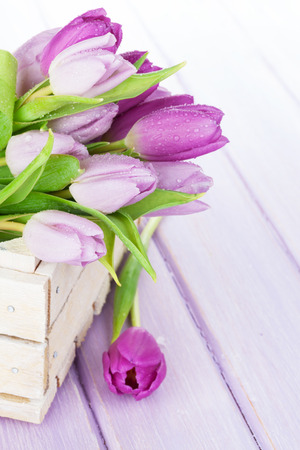 Purple tulips box over wooden table with copy spaceの写真素材