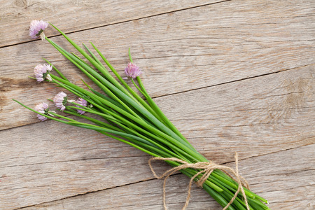 Fresh garden spring onion on garden table. Top view with copy space