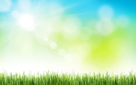 Abstract sunny spring background with grass and skyの写真素材