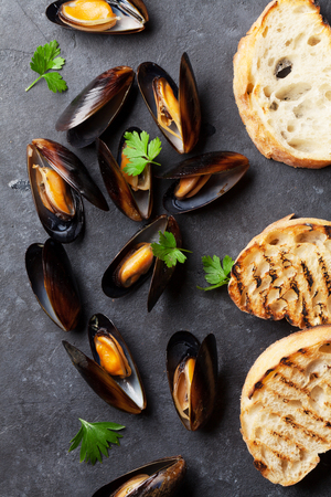 Mussels and bread toasts on stone table. Top viewの写真素材