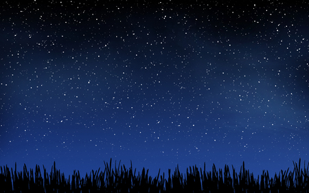 Deep night sky with many stars and grass backgroundの写真素材