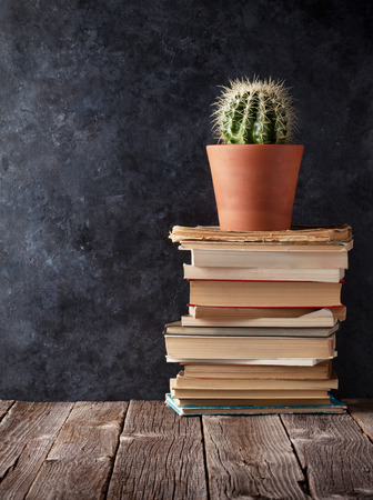 Books and cactus in front of classroom chalk board. Back to school concept with copy spaceの写真素材